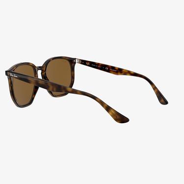  RAY-BAN 0RB4306 Unisex Havana Güneş Gözlüğü