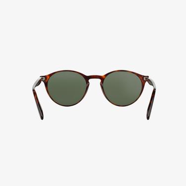  PERSOL Erkek Havana Güneş Gözlüğü
