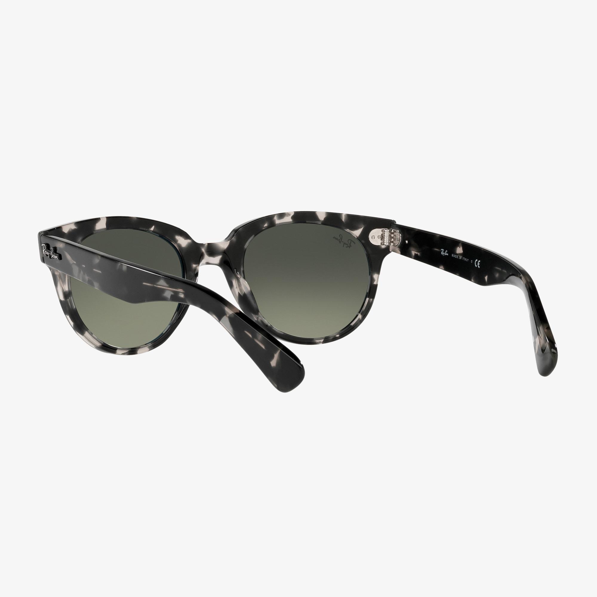 Ray-Ban 0RB2199 Unisex Gri Havana Güneş Gözlüğü