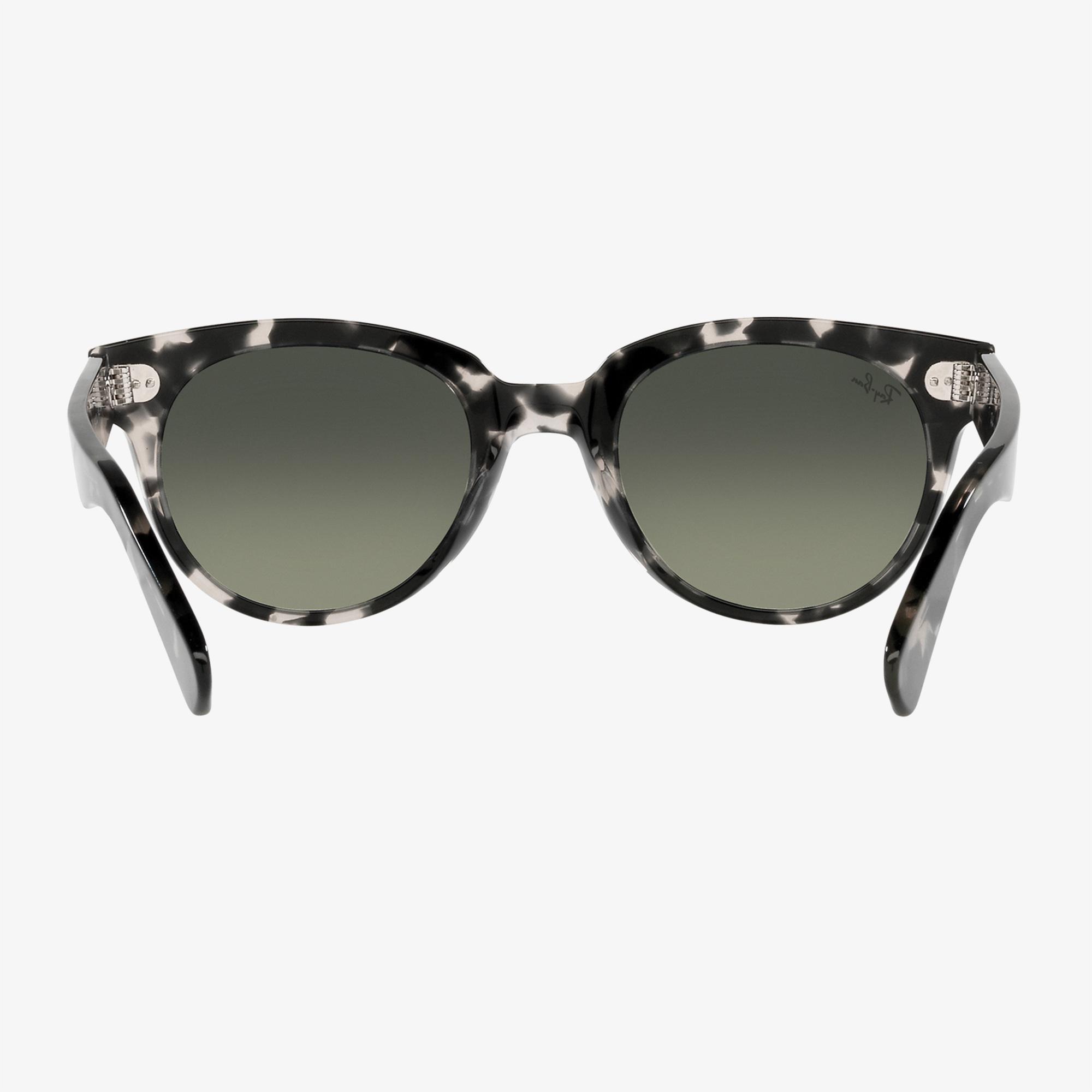 Ray-Ban 0RB2199 Unisex Gri Havana Güneş Gözlüğü