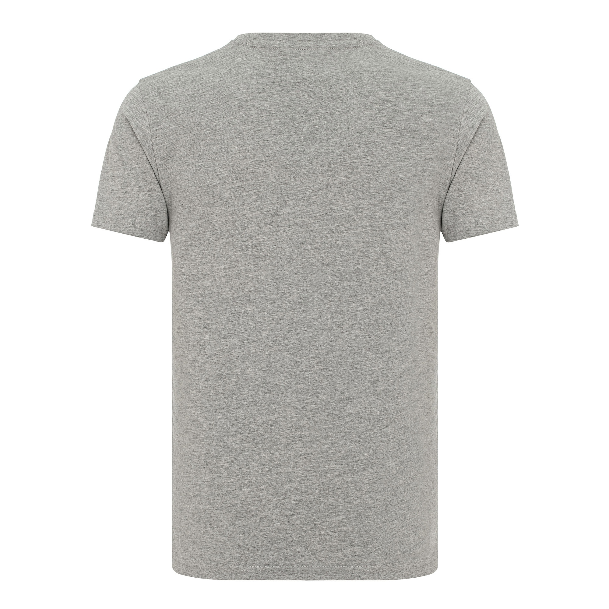 Routefield Tully Erkek Gri Tişört