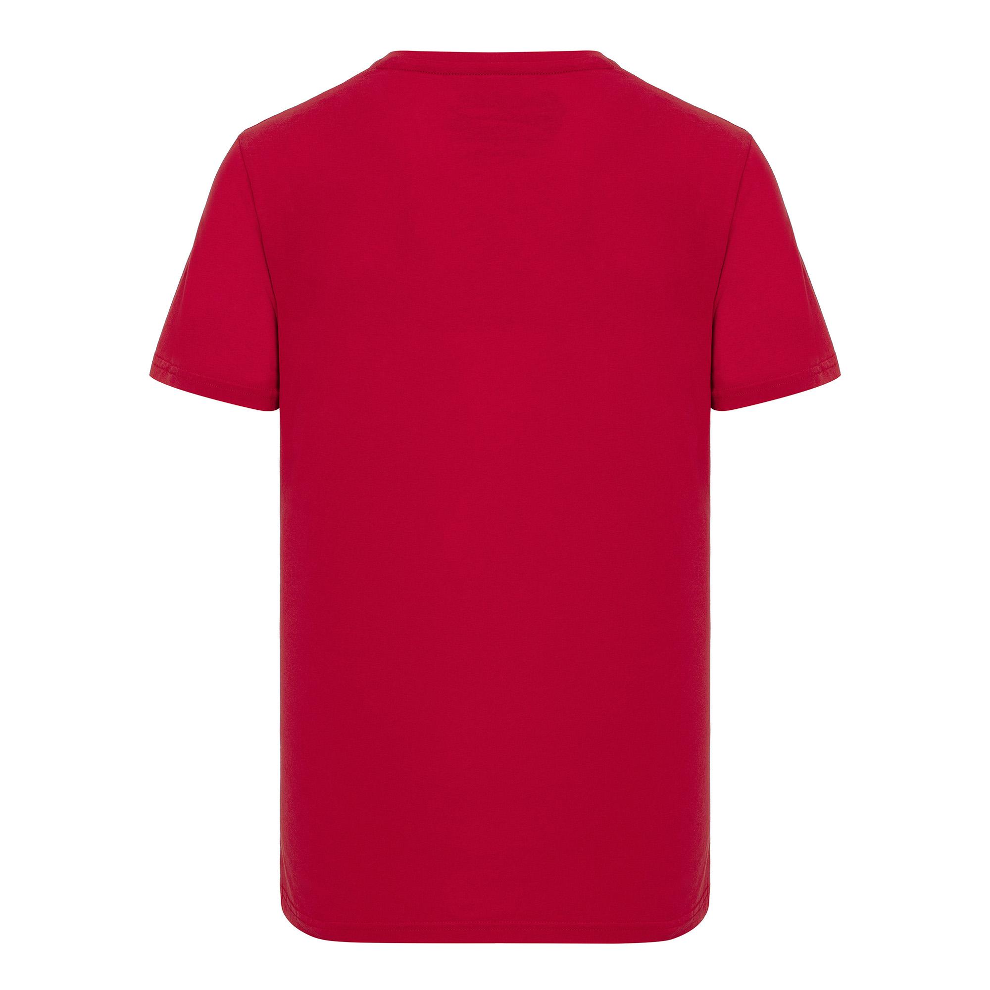 Routefield Tead Erkek Kırmızı Tişört