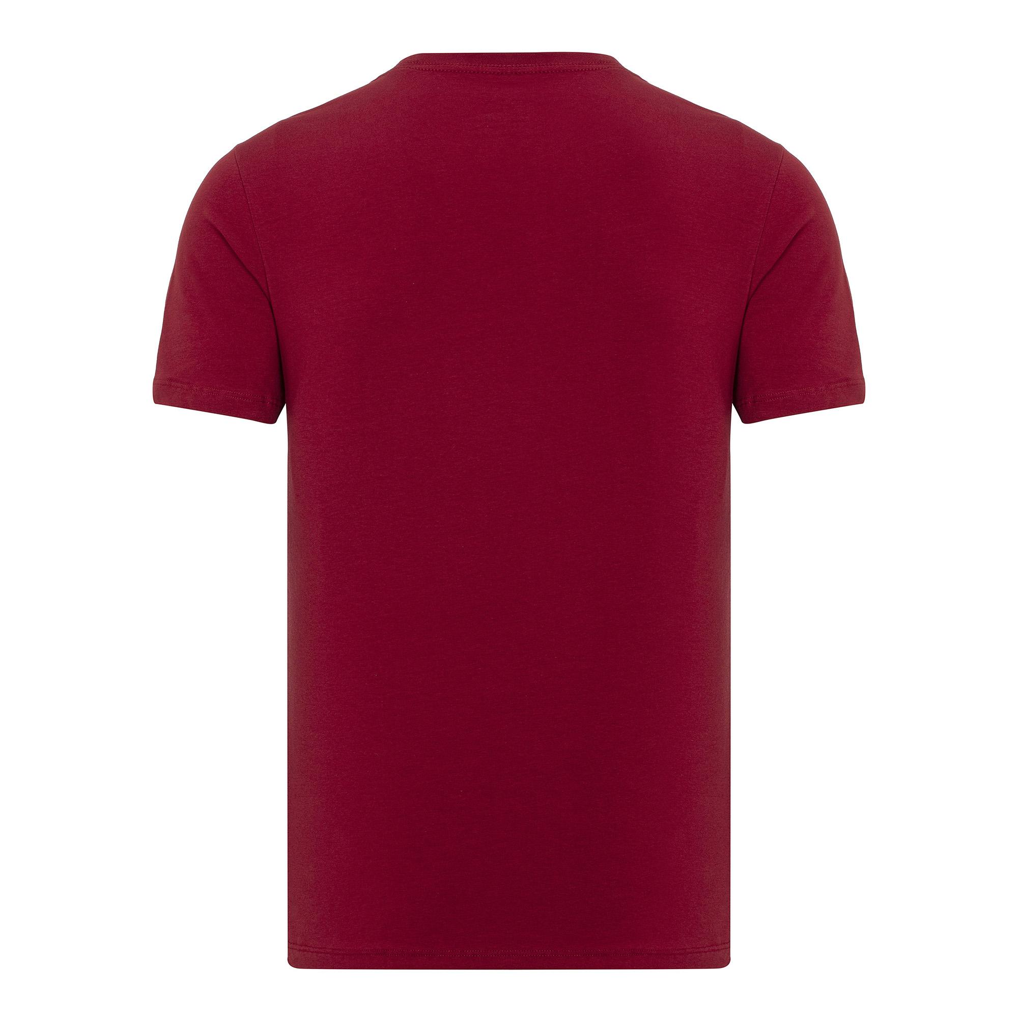 Routefield Tri Erkek Kırmızı Tişört