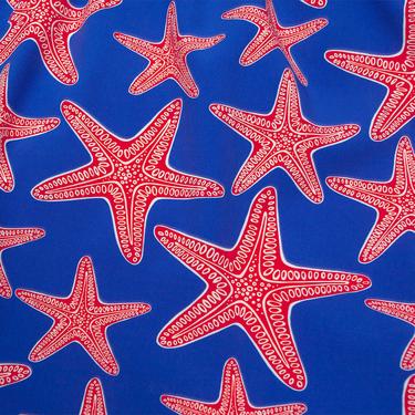  Bluemint Arthus Boy Stretch Çocuk Deep Blue Star Mayo Şort