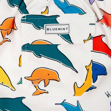  Bluemint Arthus Erkek Renkli Mayo Şort