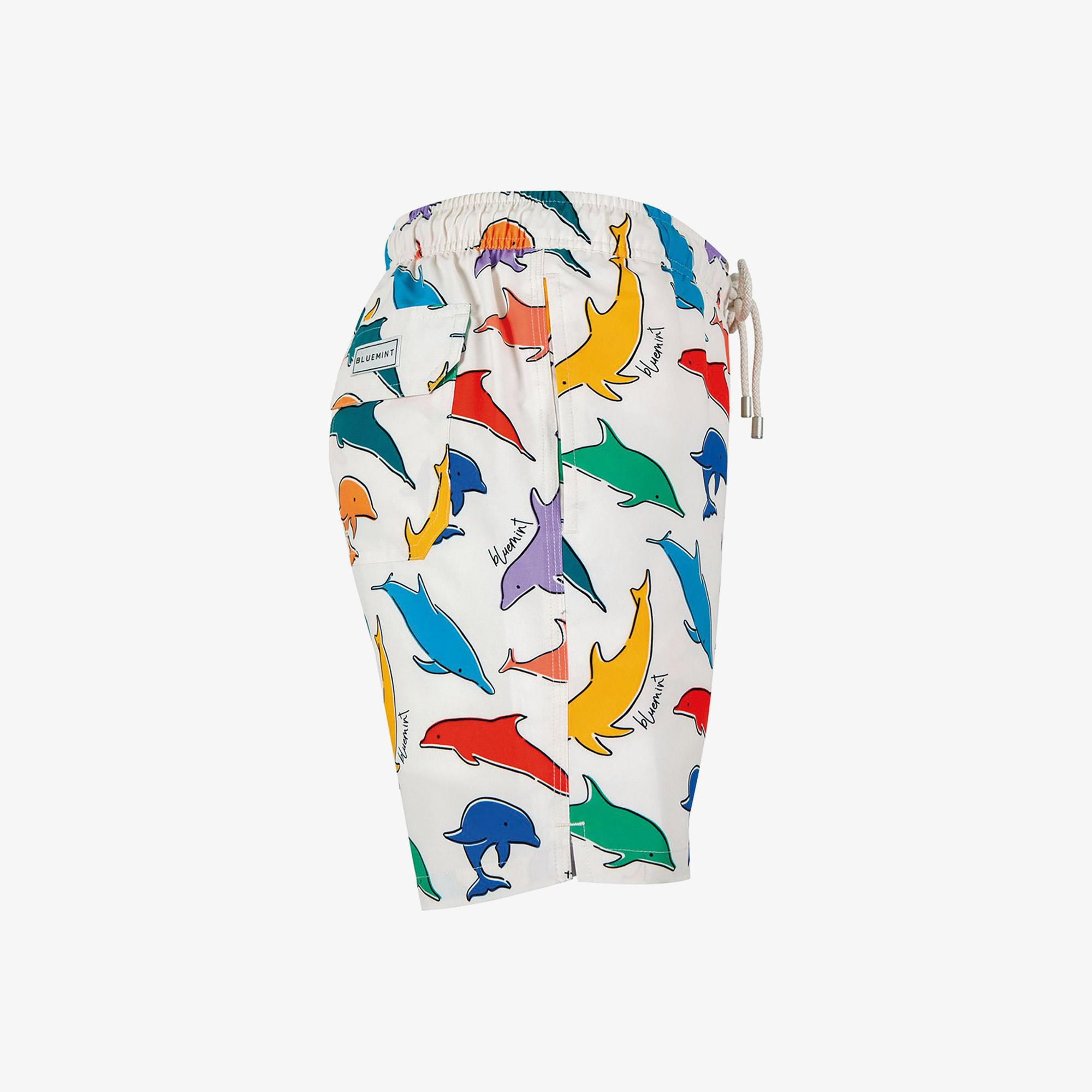 Bluemint Arthus Erkek Renkli Mayo Şort