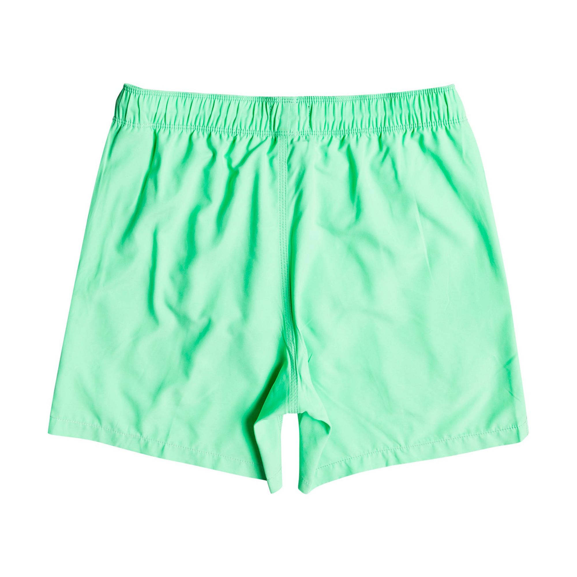 Billabong All Day Lb Erkek Yeşil Volley Short
