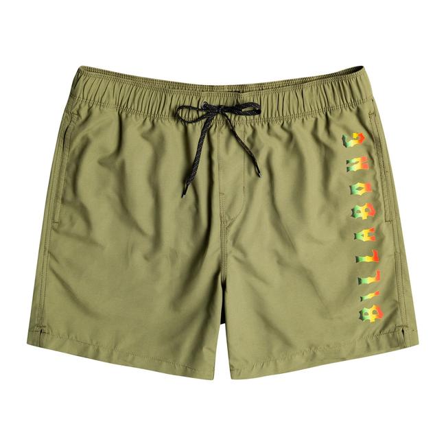  Billabong All Day Heritage Lb Erkek Yeşil Volley Short