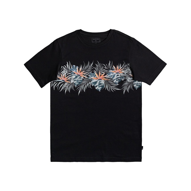  Quiksilver Paradise Express Yth Erkek Çocuk Siyah Tişört