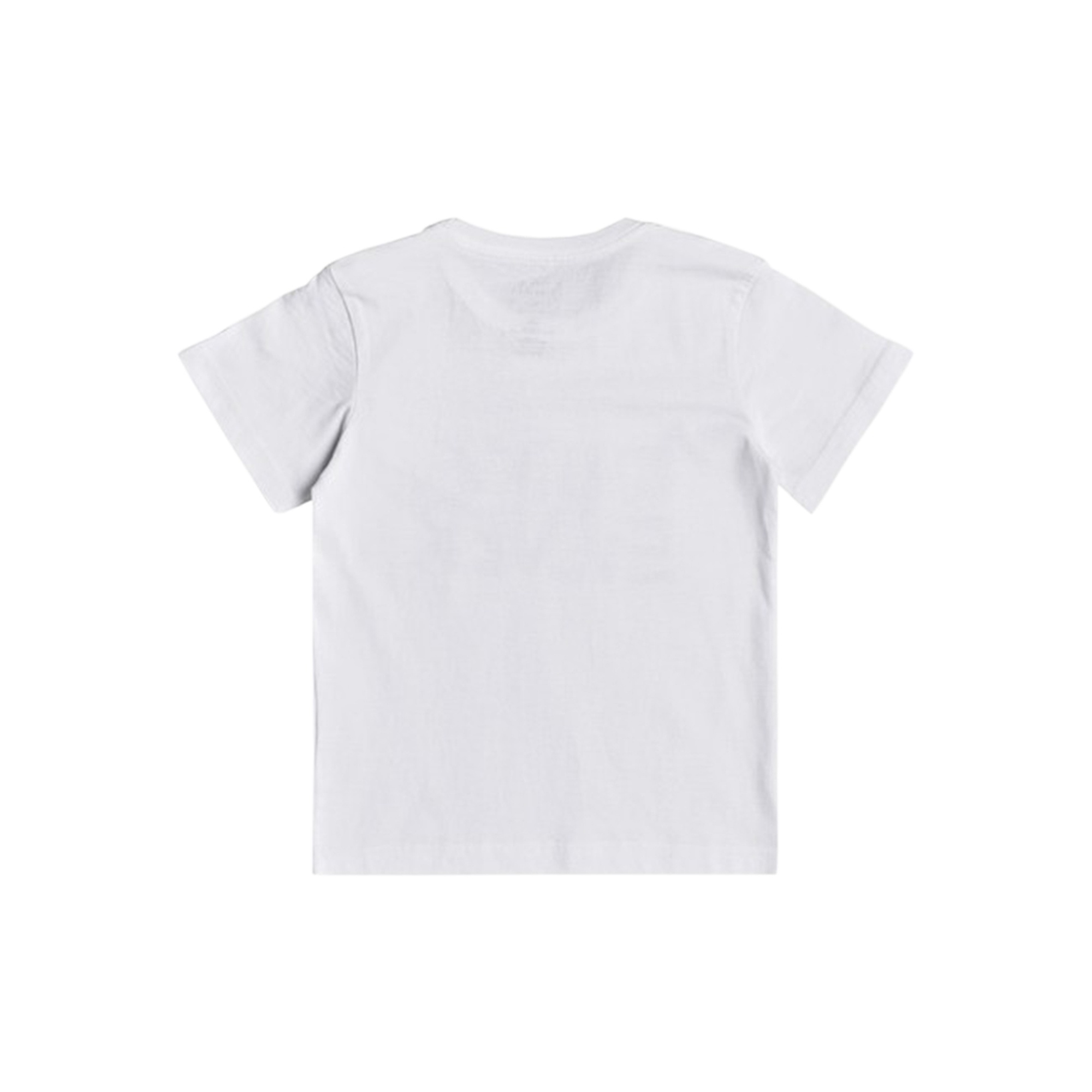 Quiksilver Bigger Picture Boy Erkek Çocuk Renkli Tişört