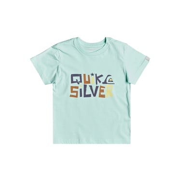  Quiksilver Bigger Picture Boy Erkek Çocuk Renkli Tişört