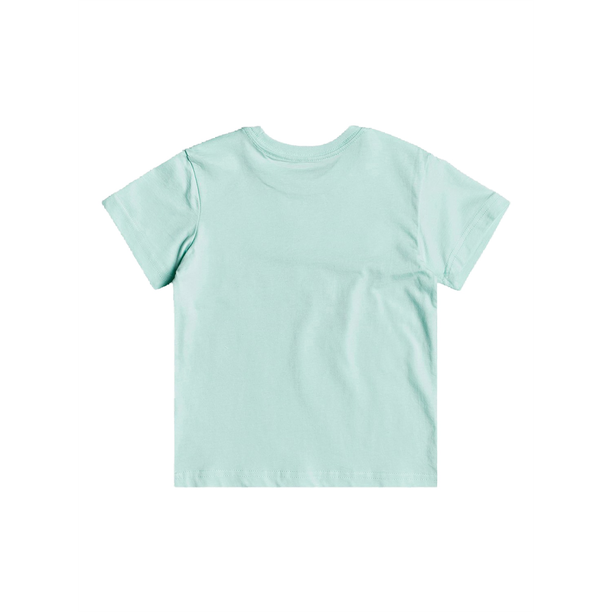 Quiksilver Bigger Picture Boy Erkek Çocuk Renkli Tişört