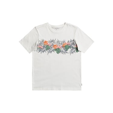  Quiksilver Paradise Express Yth Erkek Çocuk Beyaz Tişört