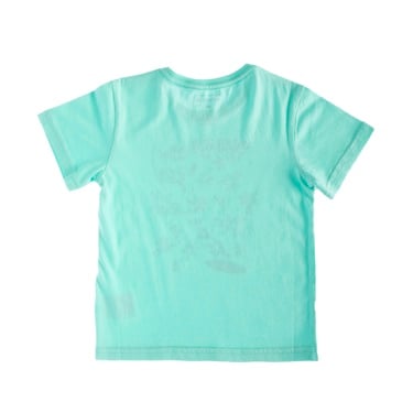  Quiksilver Fizzlerocksss K Erkek Çocuk Yeşil Tişört