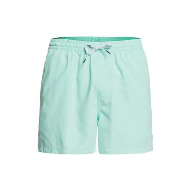  Quiksilver Erkek Volley Short Everyday 15 M Jamv Turkuaz