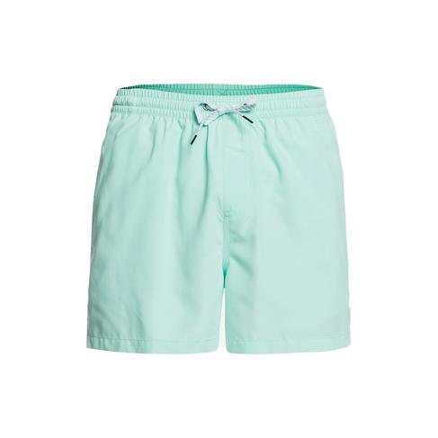  Quiksilver Erkek Volley Short Everyday 15 M Jamv Turkuaz