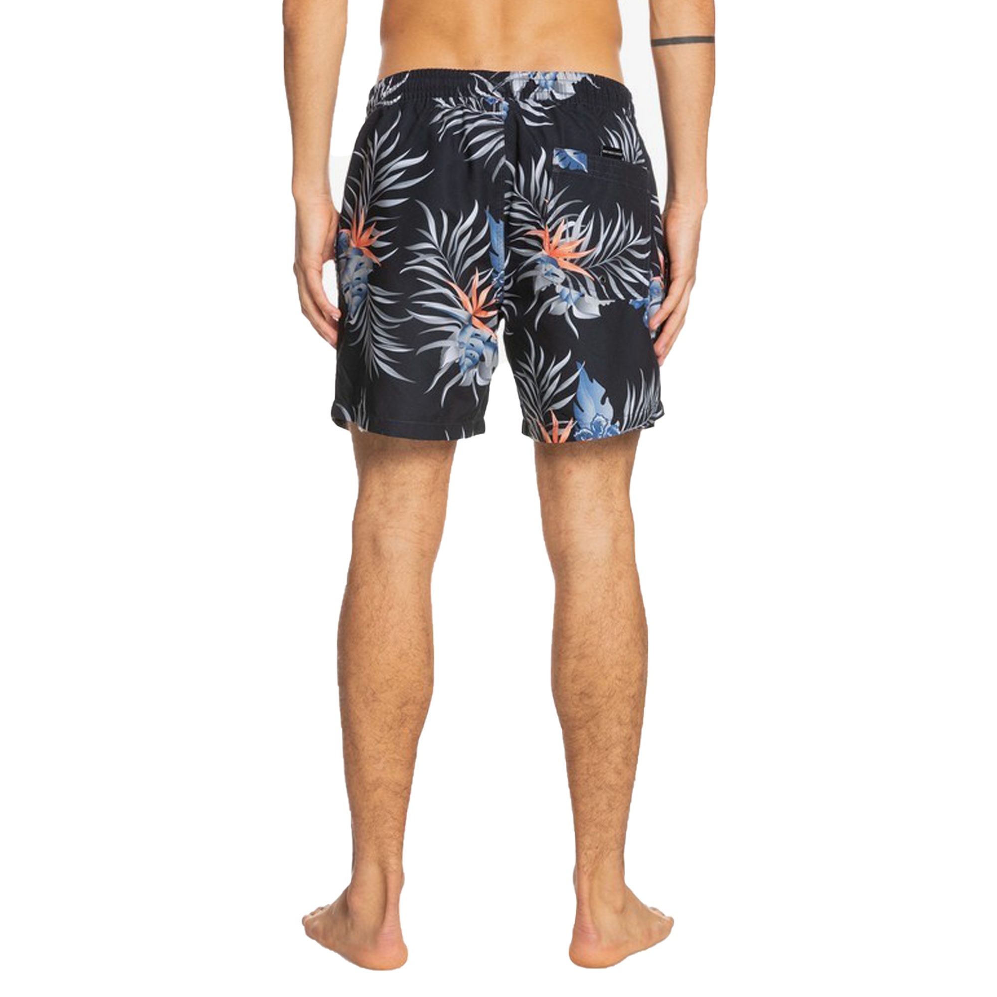 PARADISE EXPRESS VOLLEY 15