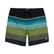 Billabong All Day Stripe Lb Erkek Siyah Volley Short