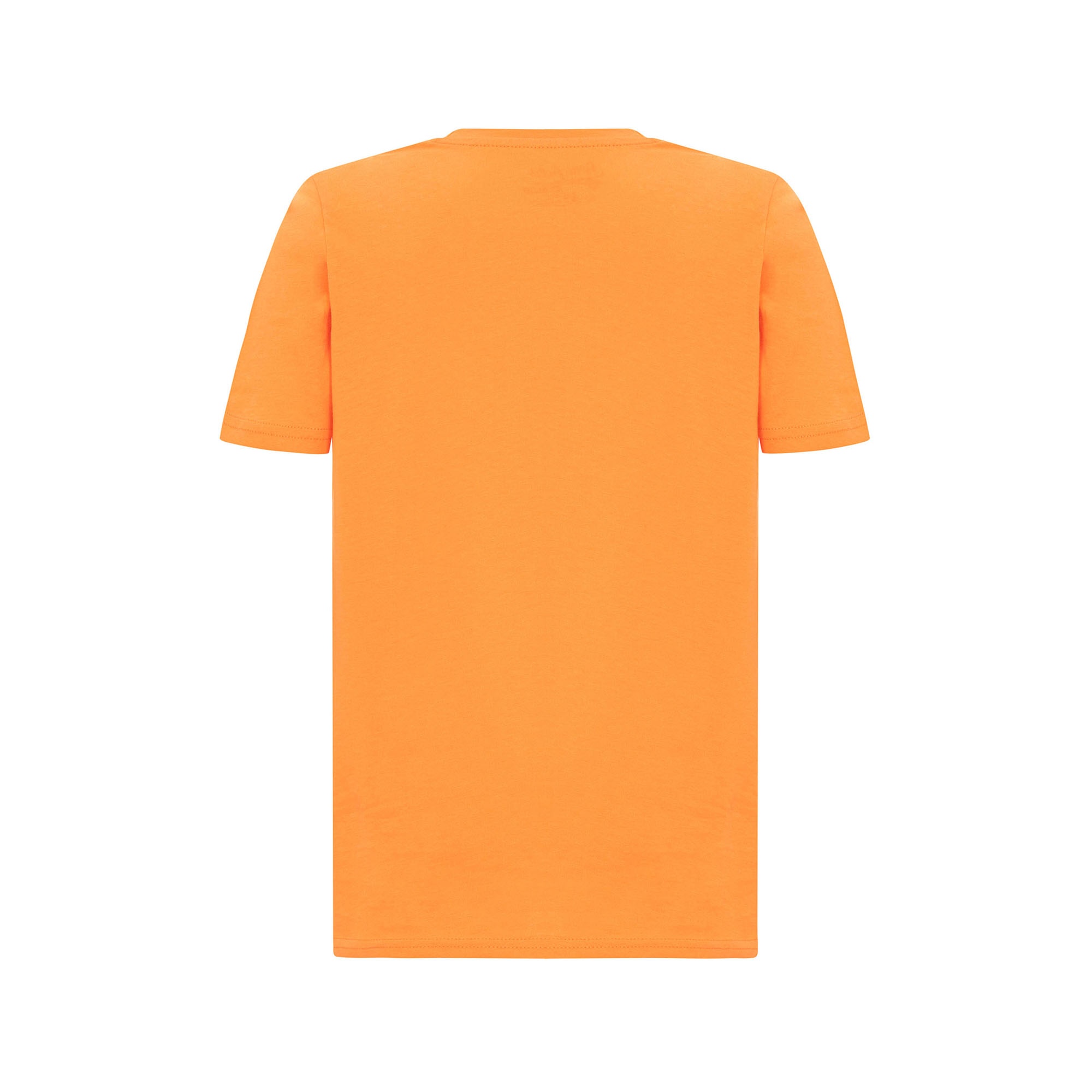 Routefield Tall Kids Unisex Çocuk Turuncu Tişört