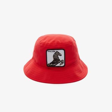  Goorin Bros I'm A Little Little Hoarse Unisex Kırmızı Şapka