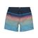 Billabong All Day Stripe Lb Erkek Siyah Volley Short