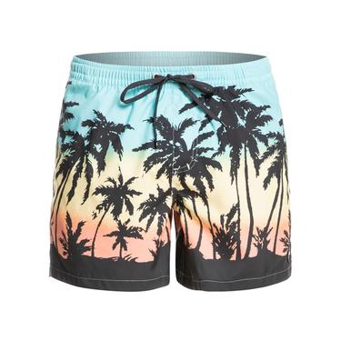  Quiksilver Erkek Volley Short Everyday Paradise Volley 15 Turkuaz