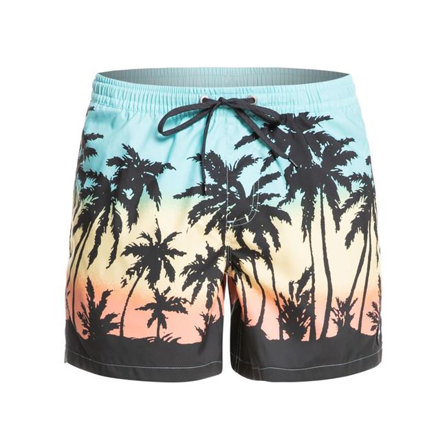  Quiksilver Erkek Volley Short Everyday Paradise Volley 15 Turkuaz