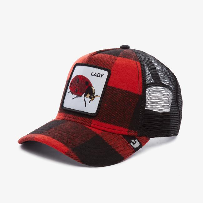  Goorin Bros Plaidy Bug Unisex Kırmızı Şapka