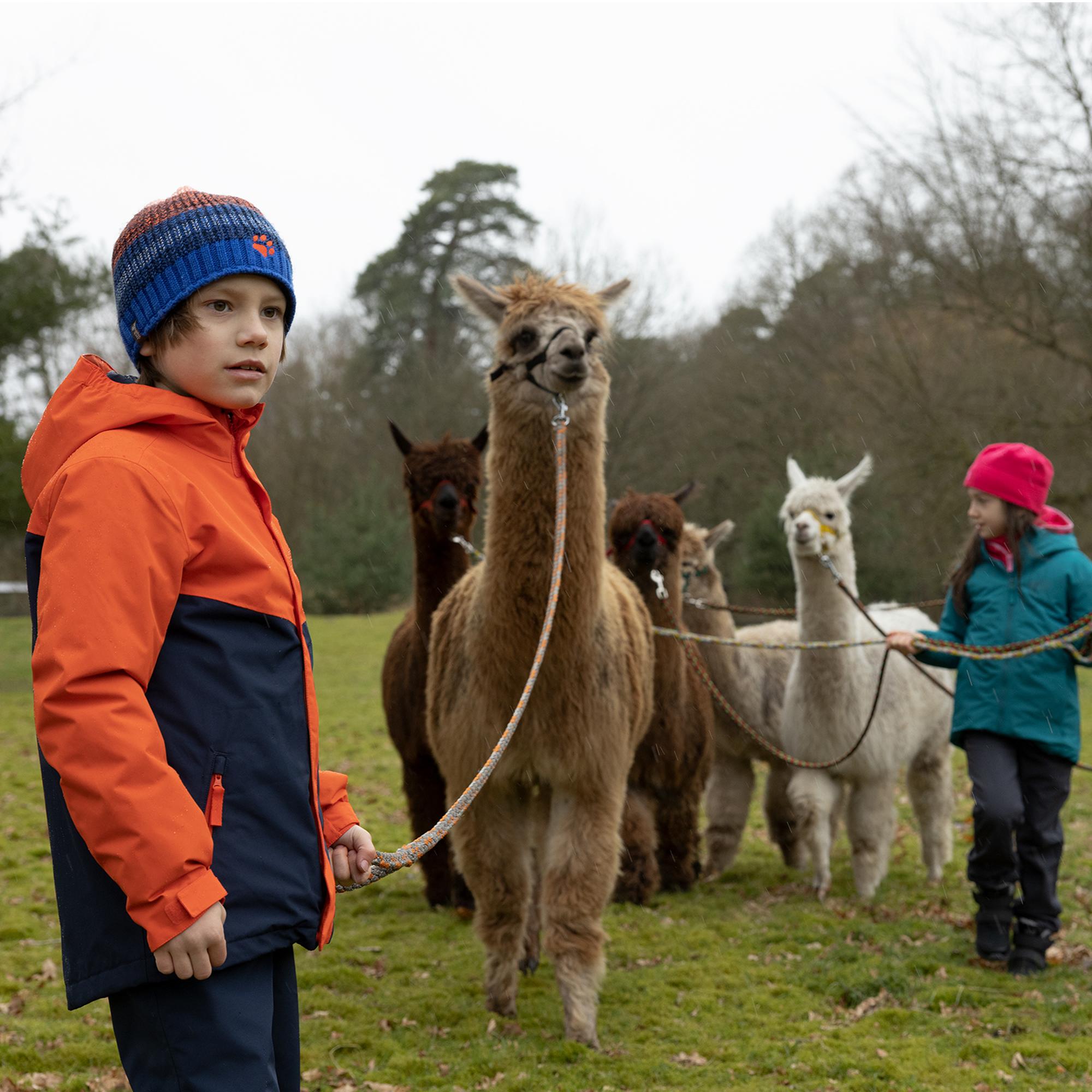 Jack Wolfskin Woodland Wt Texapore High Vc K Unisex Çocuk Mor Bot