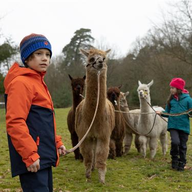  Jack Wolfskin Woodland Wt Texapore High Vc K Unisex Çocuk Mor Bot