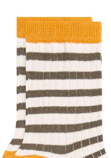  Mavi Çizgili Patik Çorap 1910907-19133