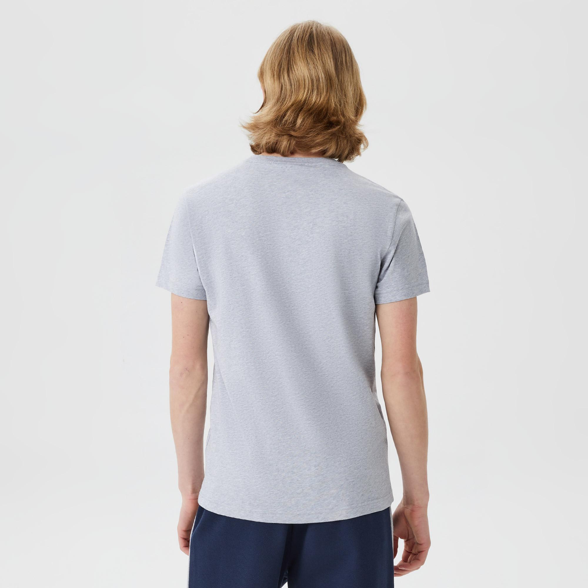 Erkek Regular Fit Bisiklet Yaka Baskılı Gri T-Shirt