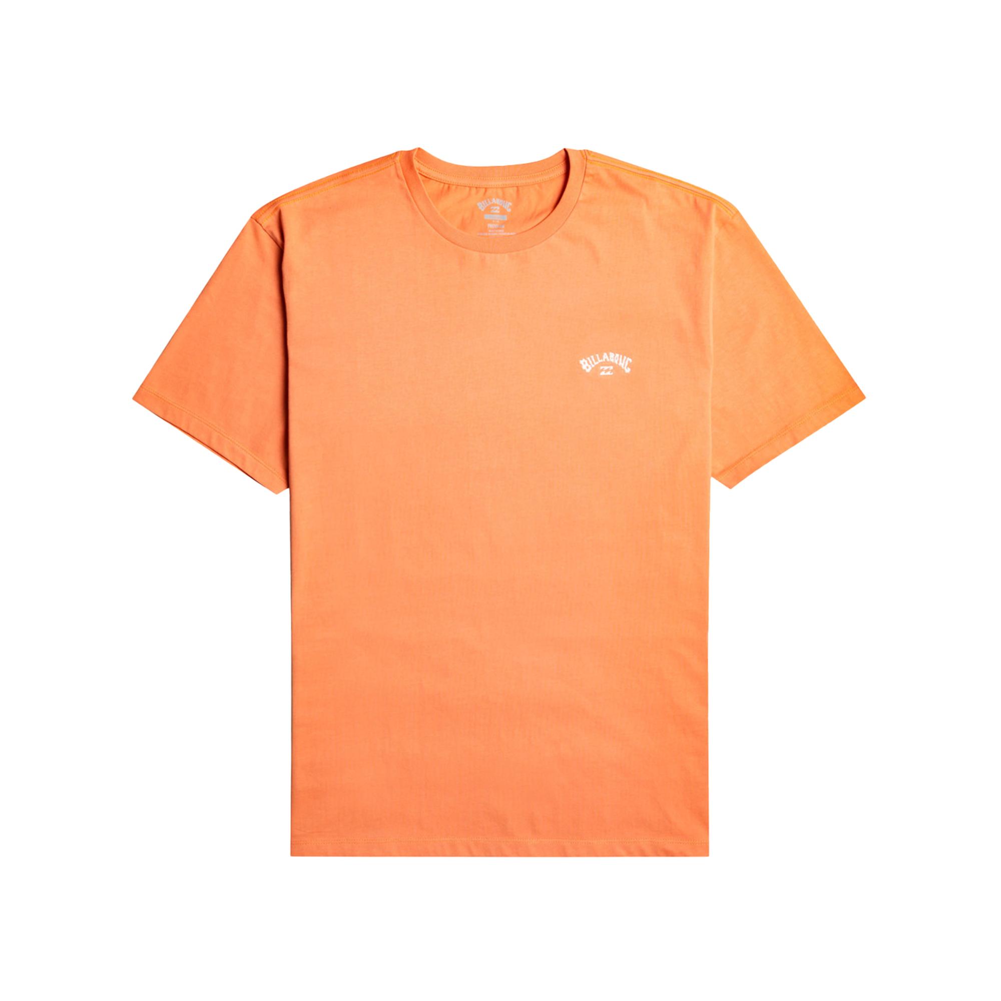 Billabong Arch Crew Ss Erkek Tişört