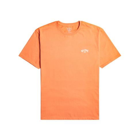  Billabong Arch Crew Ss Erkek Tişört