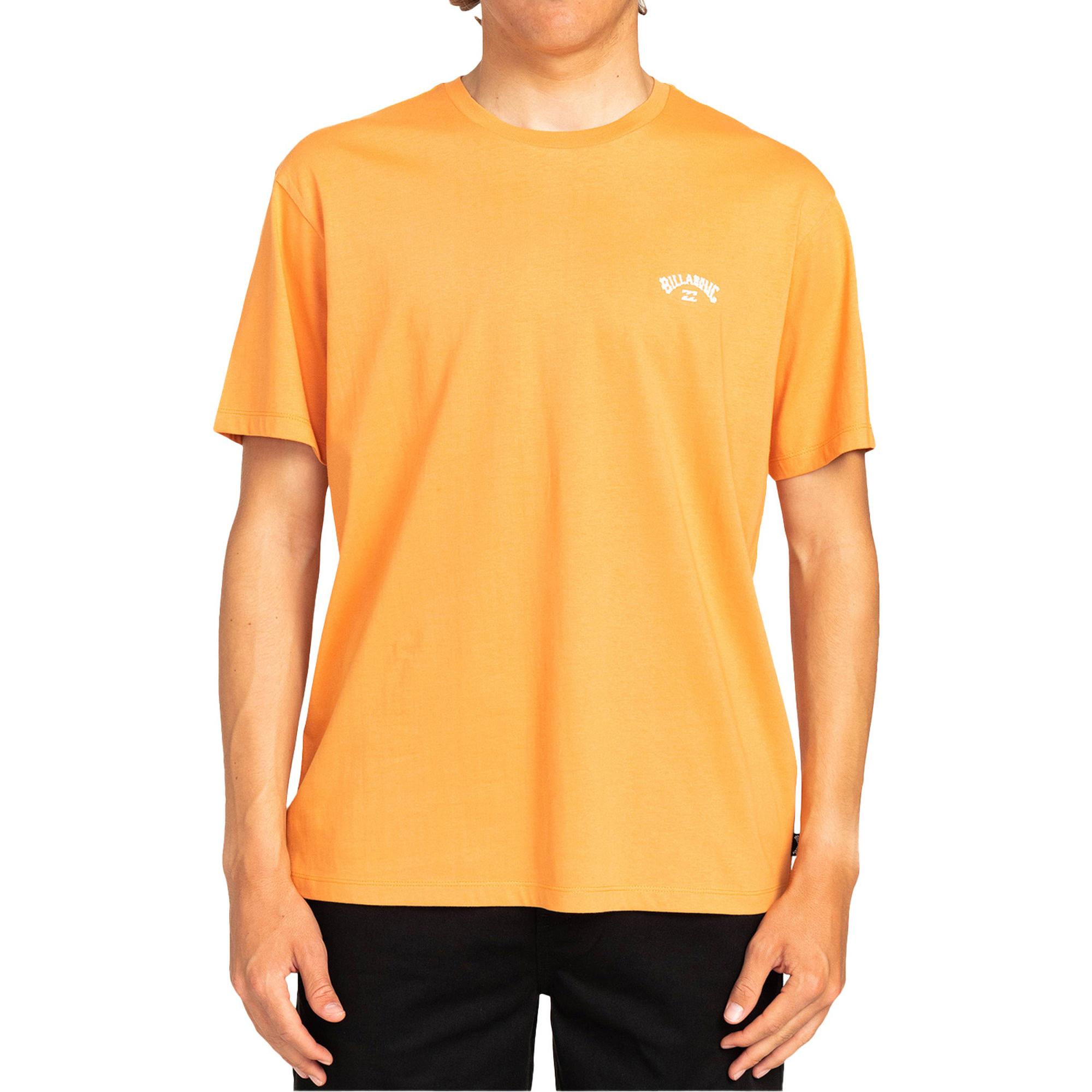 Billabong Arch Crew Ss Erkek Tişört