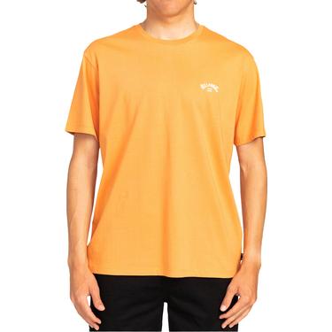  Billabong Arch Crew Ss Erkek Tişört