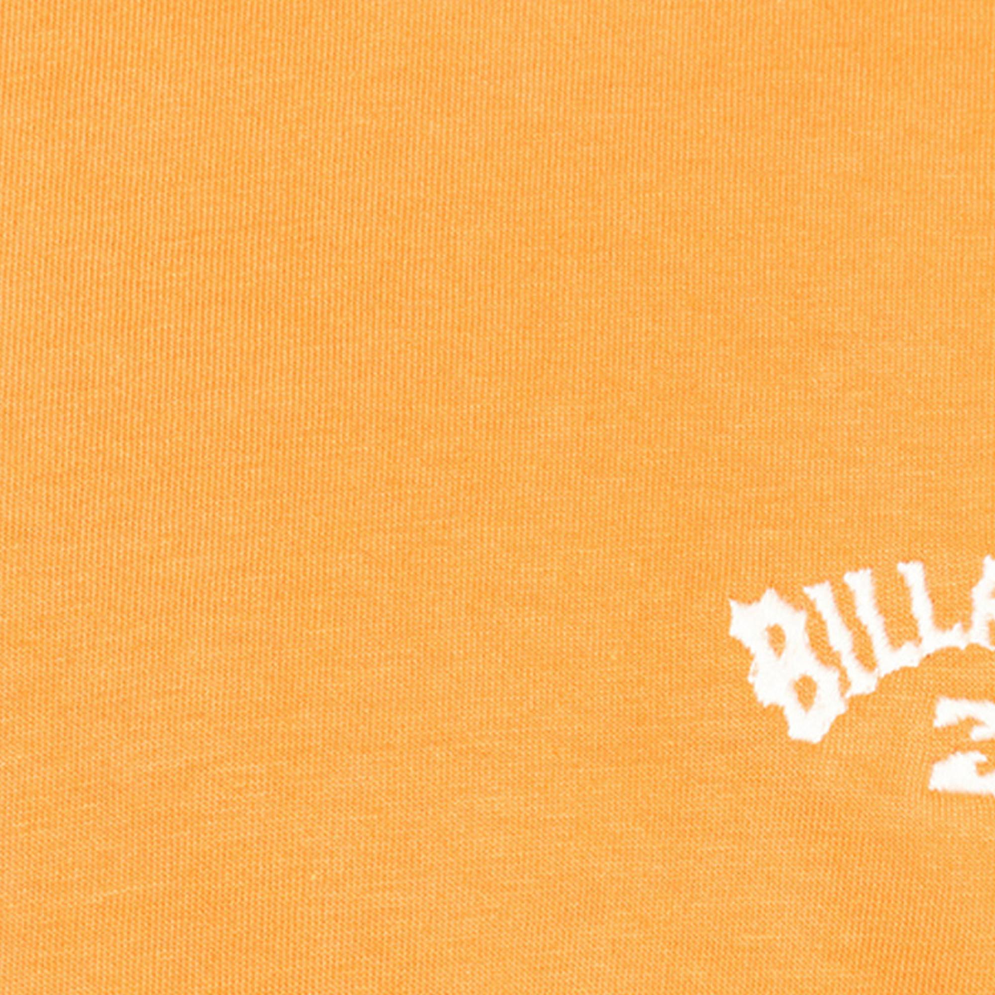 Billabong Arch Crew Ss Erkek Tişört