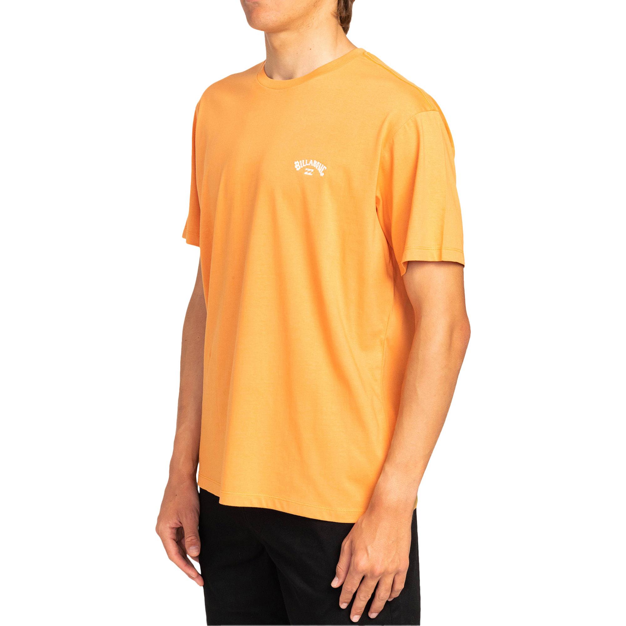 Billabong Arch Crew Ss Erkek Tişört
