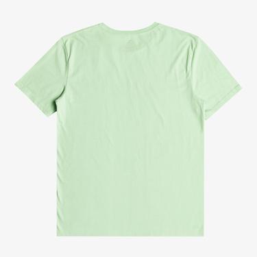  Quiksilver Complogo Erkek Yeşil Günlük T-Shirt