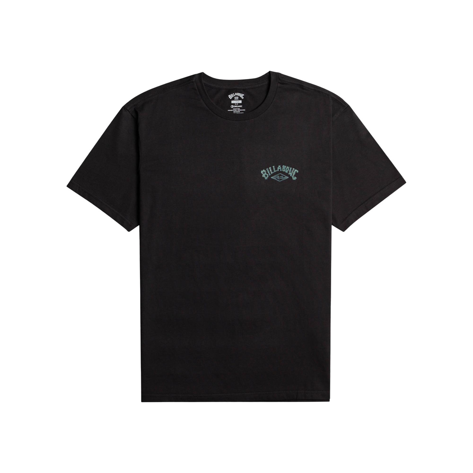 Billabong Adiv Arch Ss Erkek Siyah Tişört