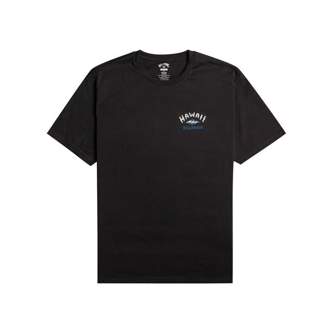  Billabong Arch Dreamy Place Ss Erkek Siyah Tişört