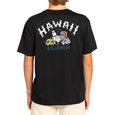  Billabong Arch Dreamy Place Ss Erkek Siyah Tişört