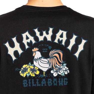  Billabong Arch Dreamy Place Ss Erkek Siyah Tişört