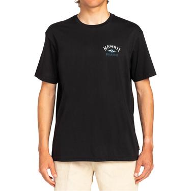  Billabong Arch Dreamy Place Ss Erkek Siyah Tişört