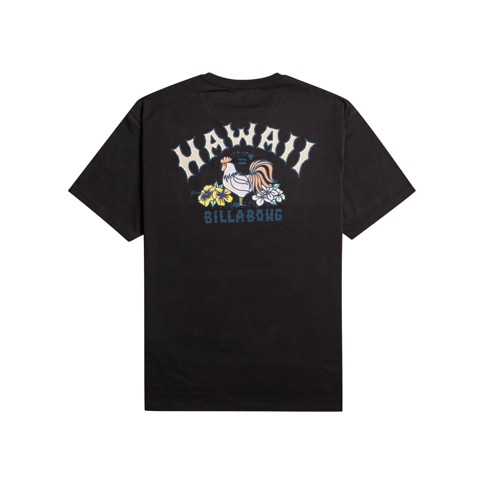 Billabong Arch Dreamy Place Ss Erkek Siyah Tişört