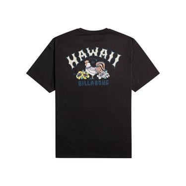  Billabong Arch Dreamy Place Ss Erkek Siyah Tişört