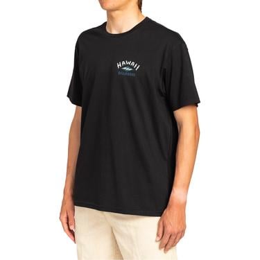  Billabong Arch Dreamy Place Ss Erkek Siyah Tişört