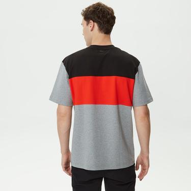  Erkek Relaxed Fit Bisiklet Yaka Renk Bloklu Gri T-Shirt