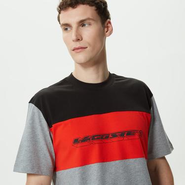  Erkek Relaxed Fit Bisiklet Yaka Renk Bloklu Gri T-Shirt