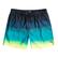 Billabong All Day Fade Lb Erkek Siyah Volley Short